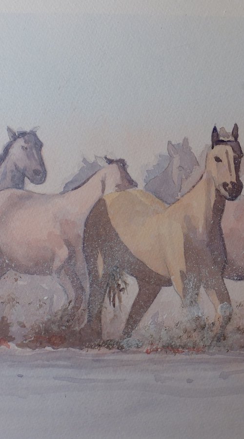 Horses in the Wetlands by David Harmer