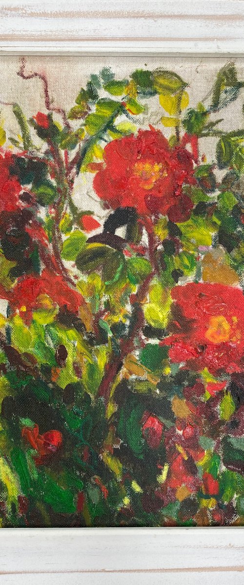 Red Climbing roses by Teresa Tanner