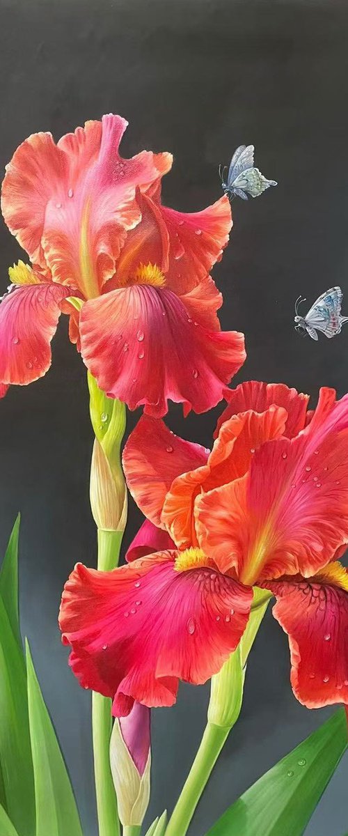 Beautiful flowers t267 by Kunlong Wang