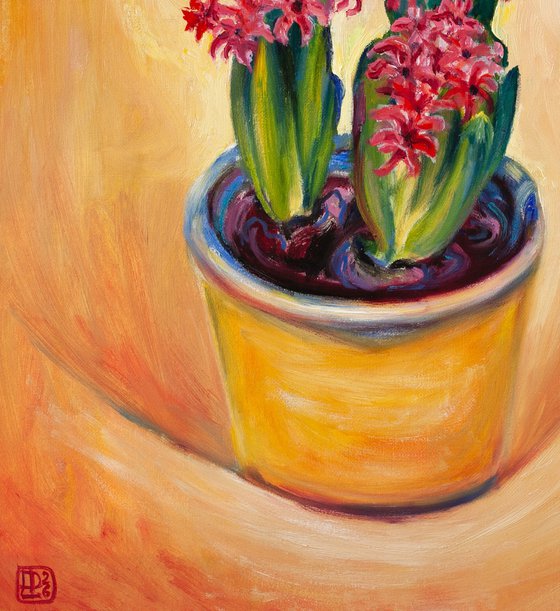 Playful Joy of Hyacinths