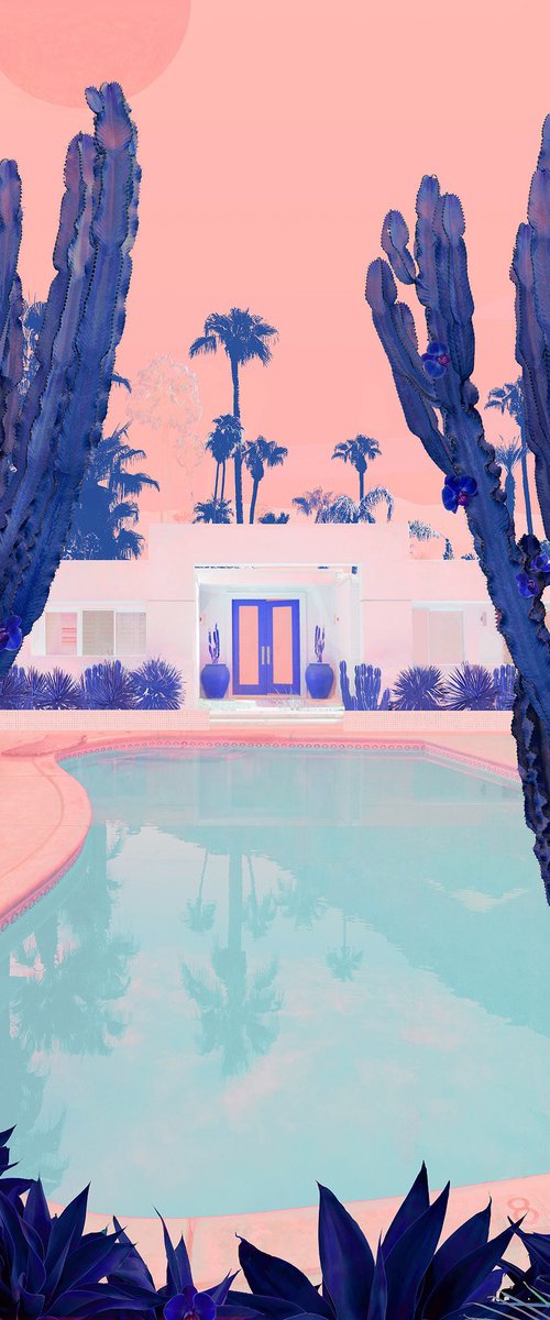 Cactus Days by Nadia Attura