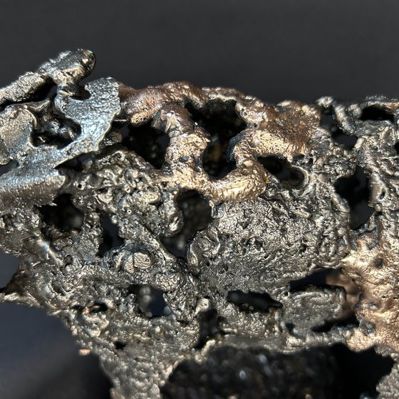 Air and bronze rhinoceros