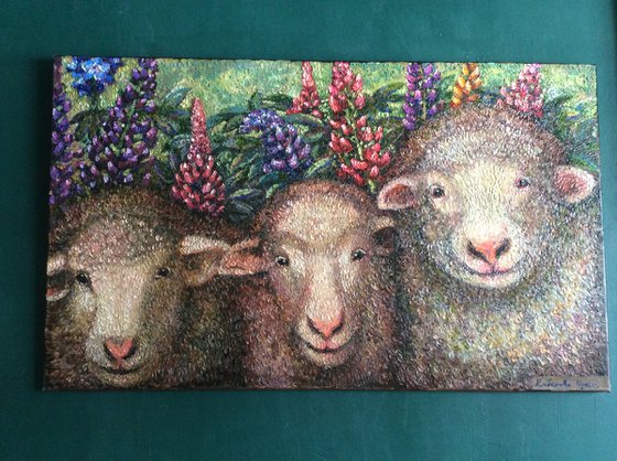 Three  sheep