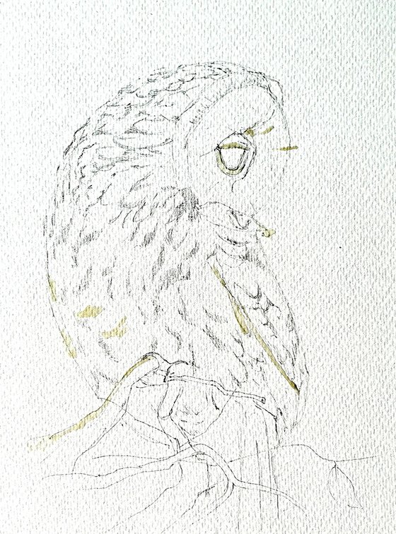 Autumn guardean ( watercolour Owl )