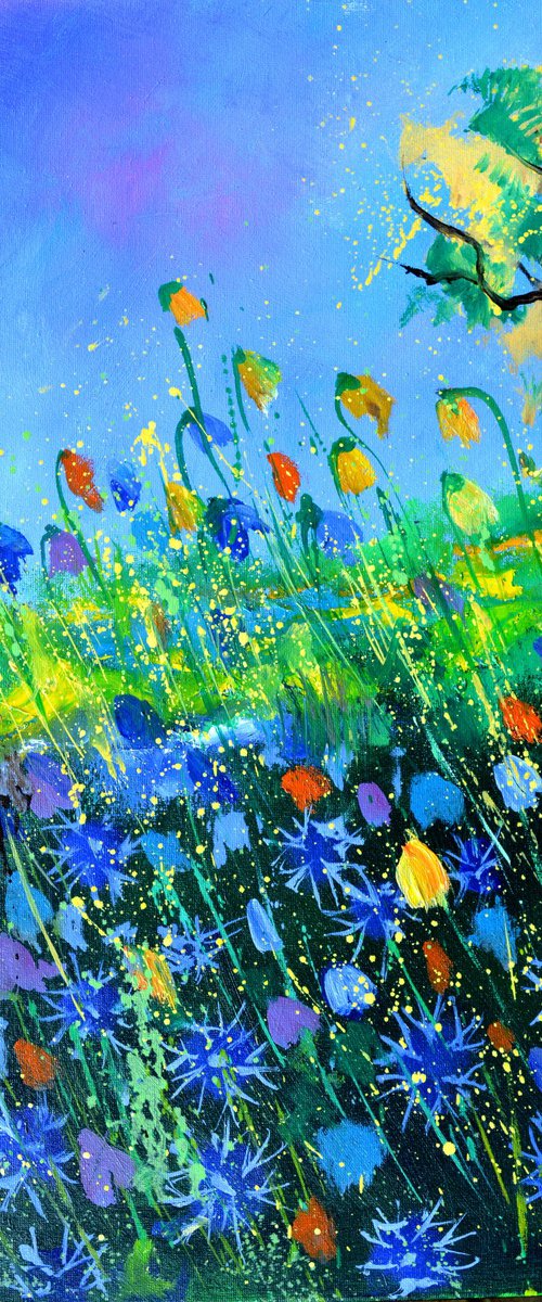 Summer Wild flowers -5623 by Pol Henry Ledent