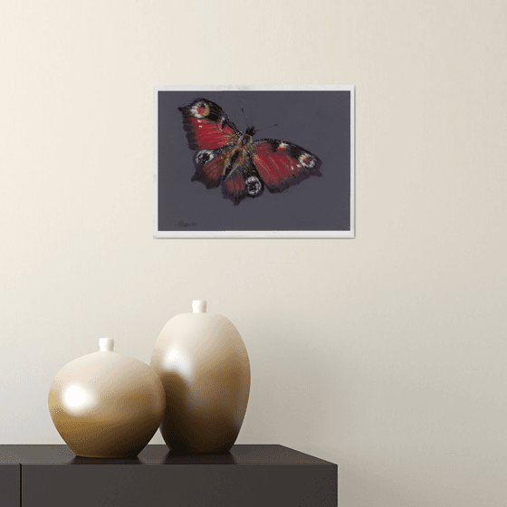 Butterfly (pastel)