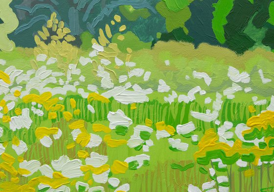 Summer field