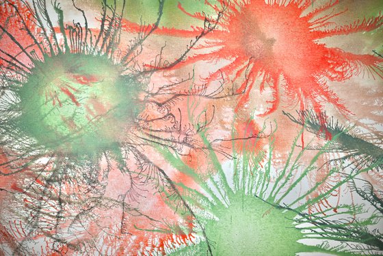 Exploflora Feminine corals