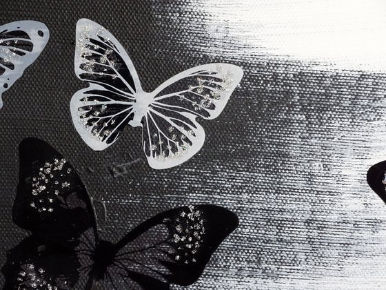 B &W butterfly life