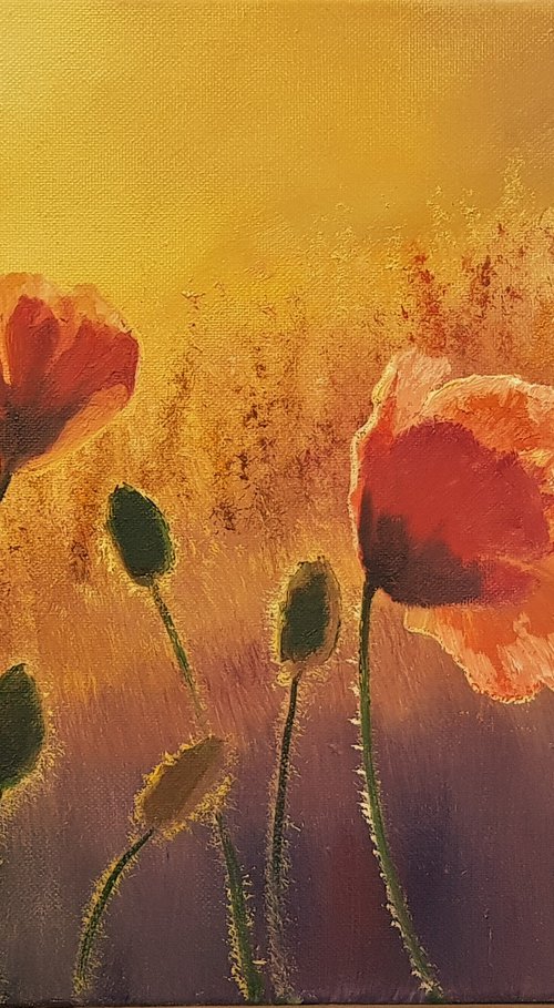 Evening Poppies by Vladimir Jarmolo