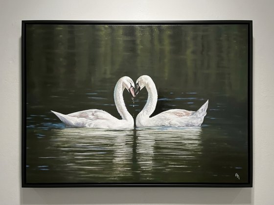 Graceful Swans in love