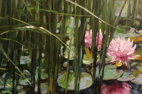 "Morning Harmony"