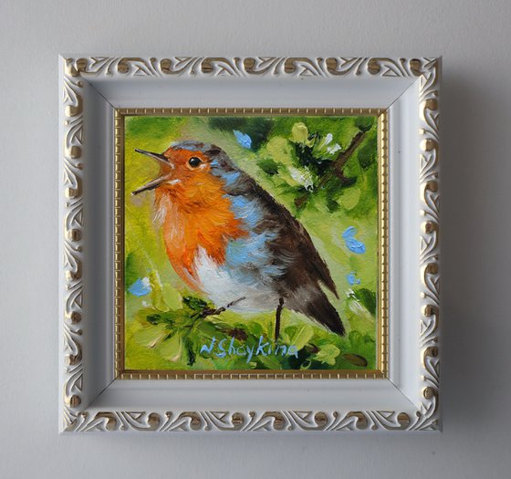 Spring Robin Bird