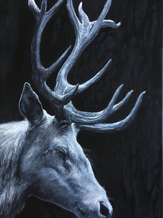 White Stag