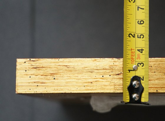 A spruce on a winter boulevard at night