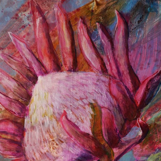 Protea Symphony I.