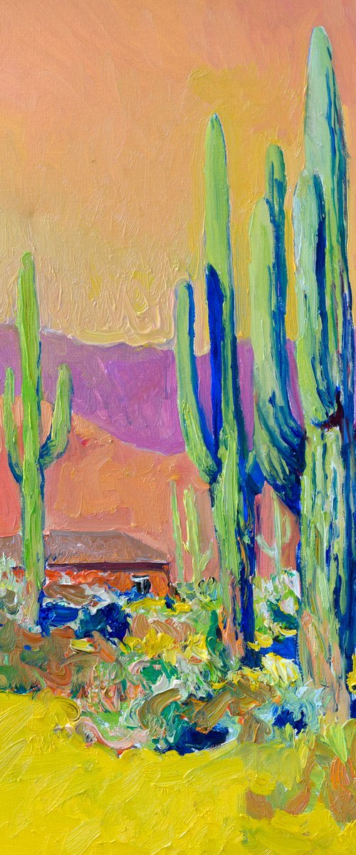 Arizona Evening Light. Saguaros by Suren Nersisyan