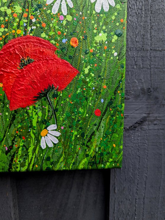 Poppy Meadow Delight #2