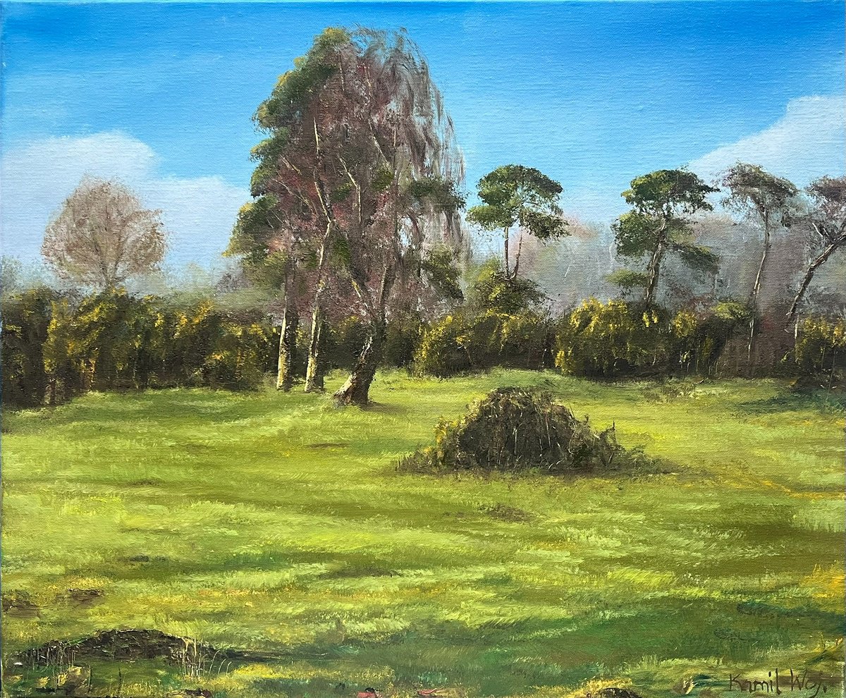 Canada Common New Forest By Kamil Woj, 24 X 20, Artwork For Sale On Artfinder