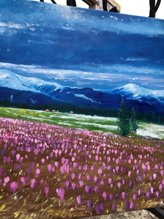 Blooming in mountains
