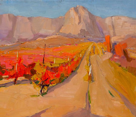 Crimean Vineyards