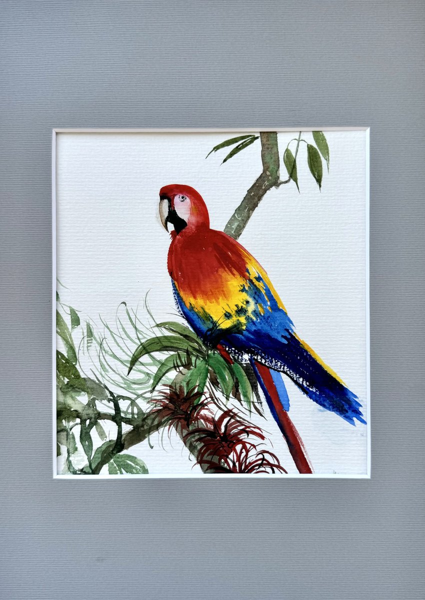 Expressive Animal Watercolour By Yuliia Sharapova, 10 X 14", Parrot From Costa Rica, Original Artwork