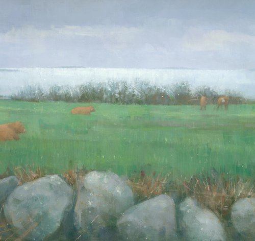 Tresco Cows by Steve Mitchell