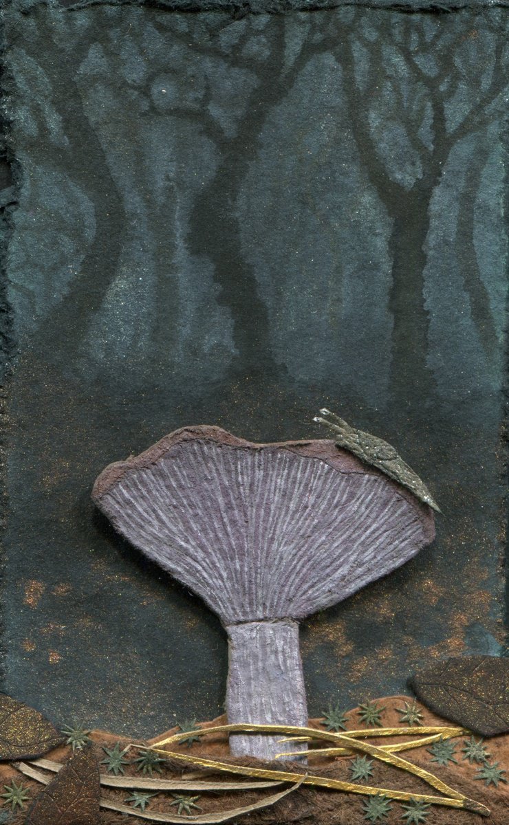 Microcosm-Blewit by Hannah Battershell