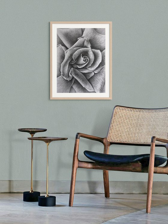 Unfolding. Meditative Botanical Fine Art