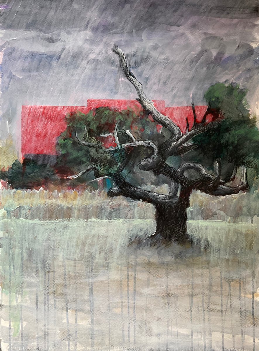 Tree, roof, rain by John Cottee
