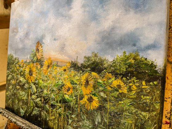 A Sunny Meadow