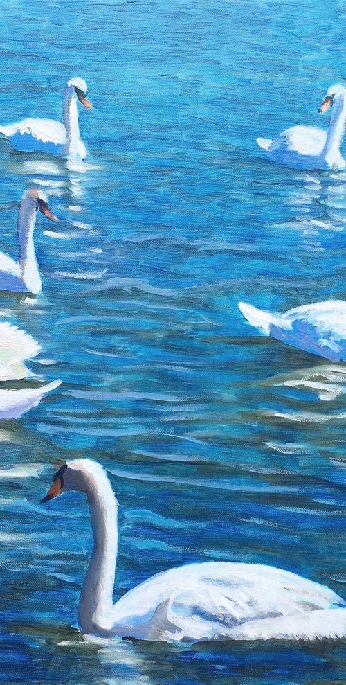 Swans by Elena Sokolova