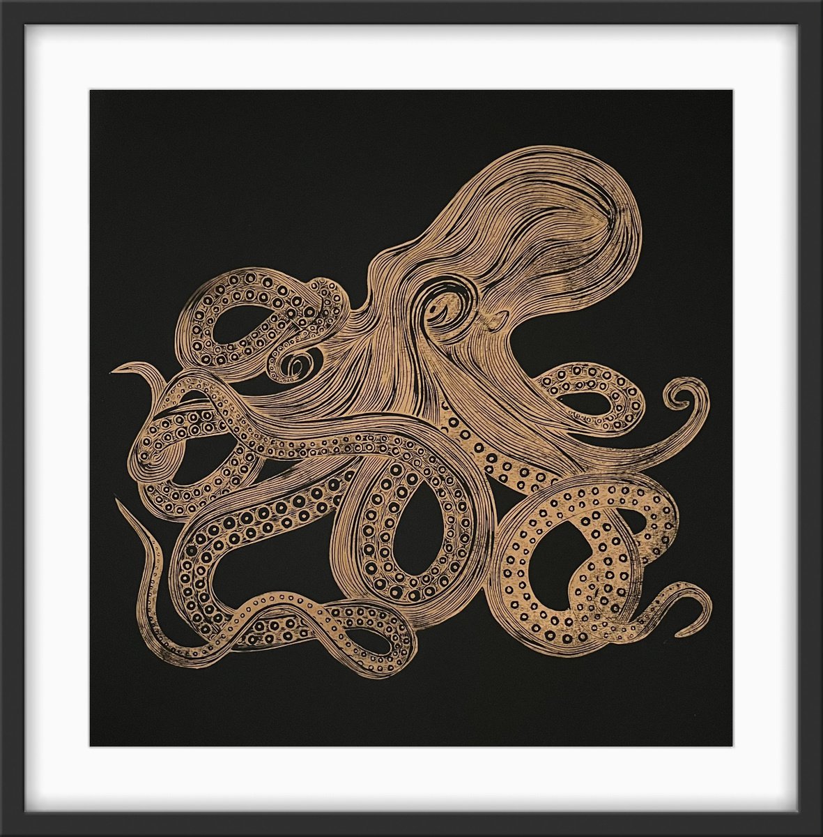 Octopus by Amy Cundall