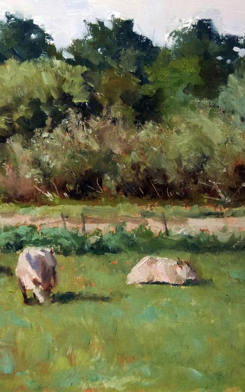 Four Cows by Pascal Giroud