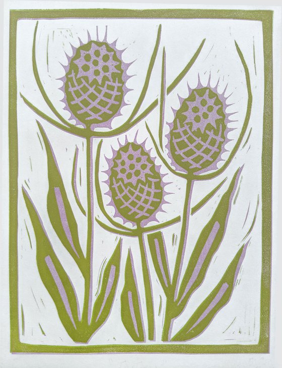 Teasels