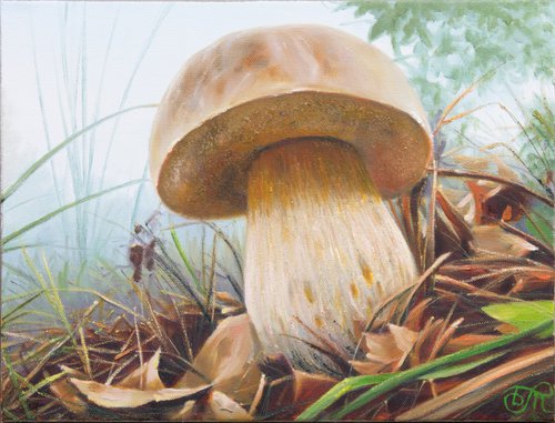 Mushroom. The white one by Dmitrij Tikhov