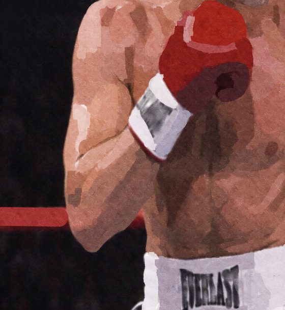 THE BOXER 2