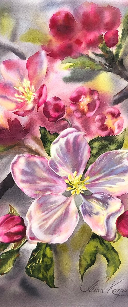Apple blossom by Alina Karpova