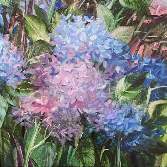 Hydrangea garden