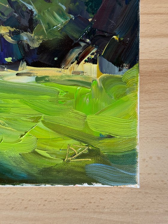 Fields of Air