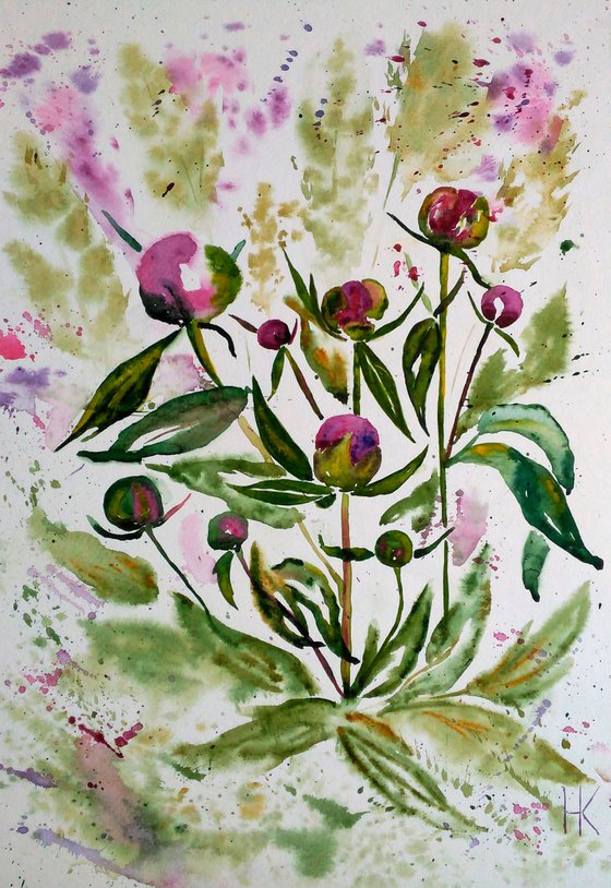 Peony buds original watercolor painting impressionistic purple peonies" Just before blooming"