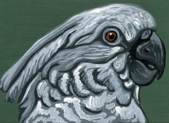 ACEO ATC Original Miniature Painting Umbrella Cockatoo Parrot Pet Bird Art-Carla Smale