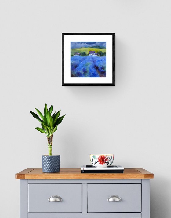 "Provence"