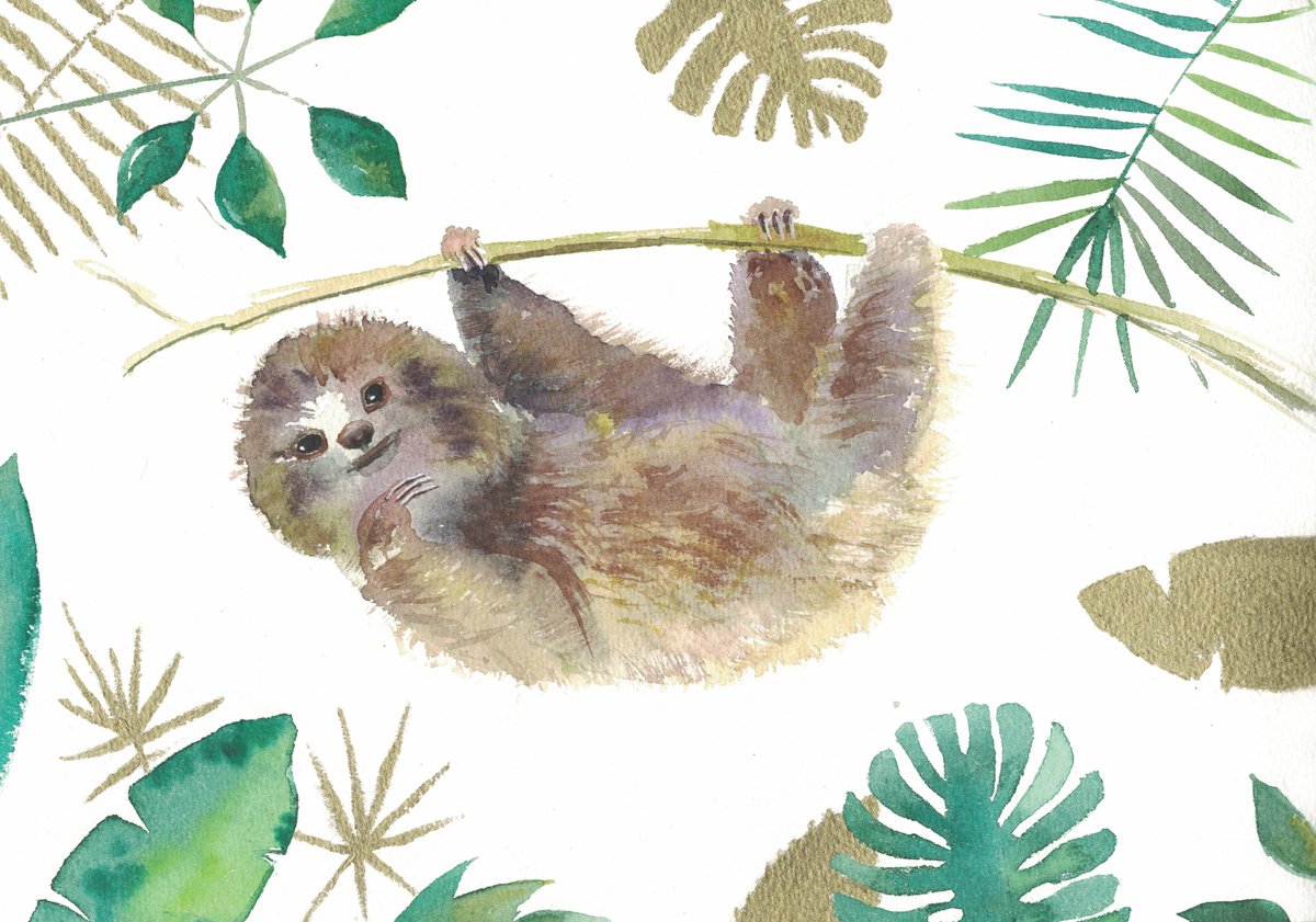 Sloth by Ekaterina Mitrofanova
