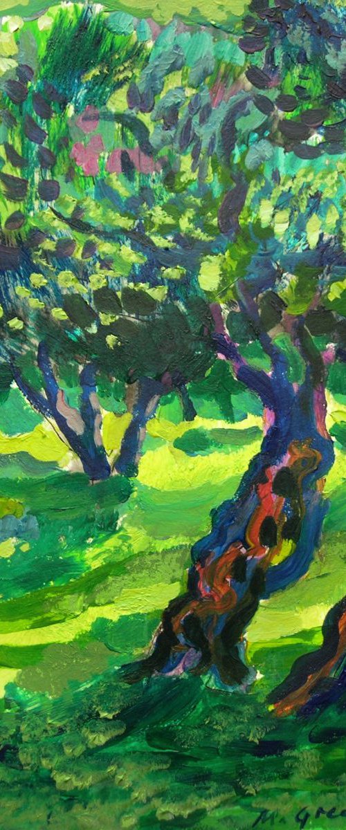 Green olive orchard by Maja Grecic