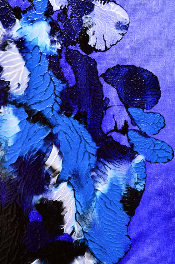 Blue Rhapsody