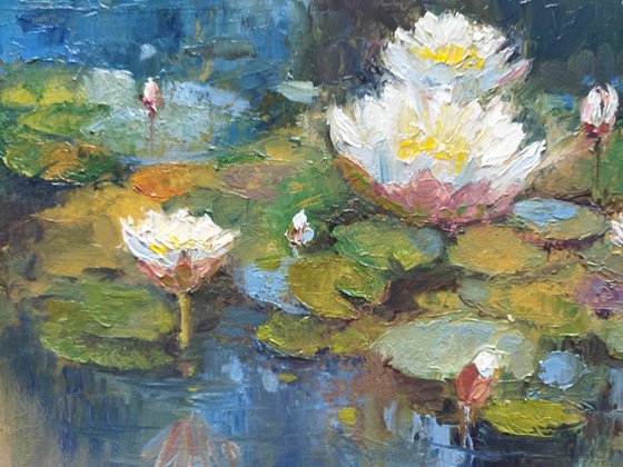 White Lily Pond – Impressionist Oil