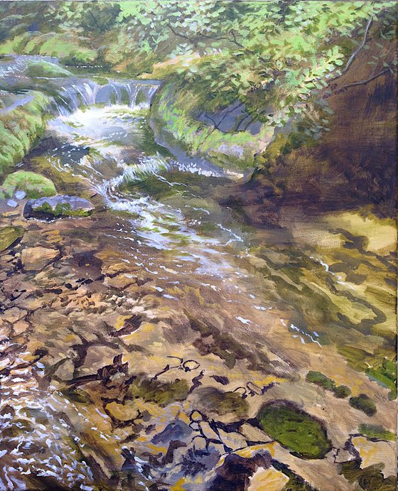 River Taw pool, Dartmoor