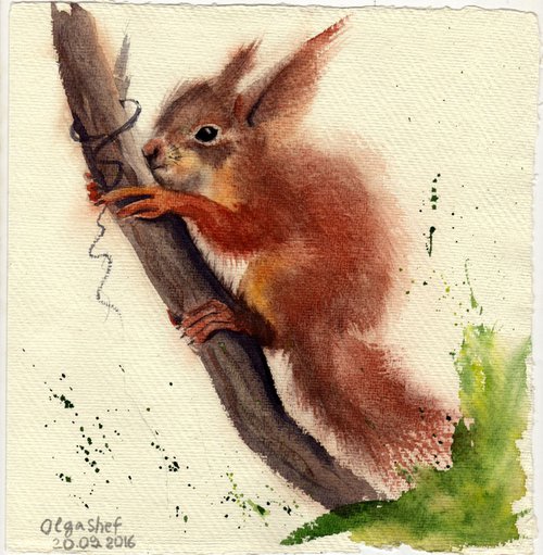Original Watercolor Squirrel in the hat Painting by Olga Tchefranov (Shefranov)