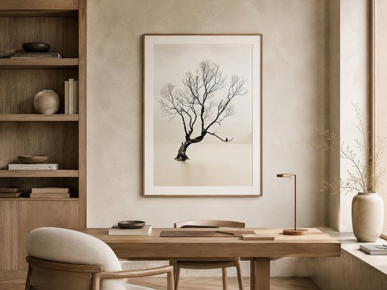 The Lone Willow of Wanaka